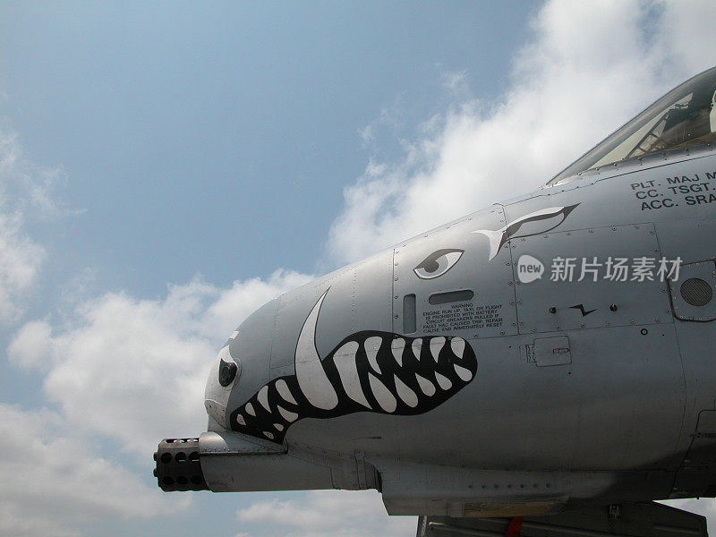 a - 10鼻子艺术